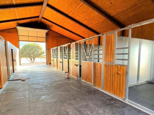 A large room with many windows and doors.